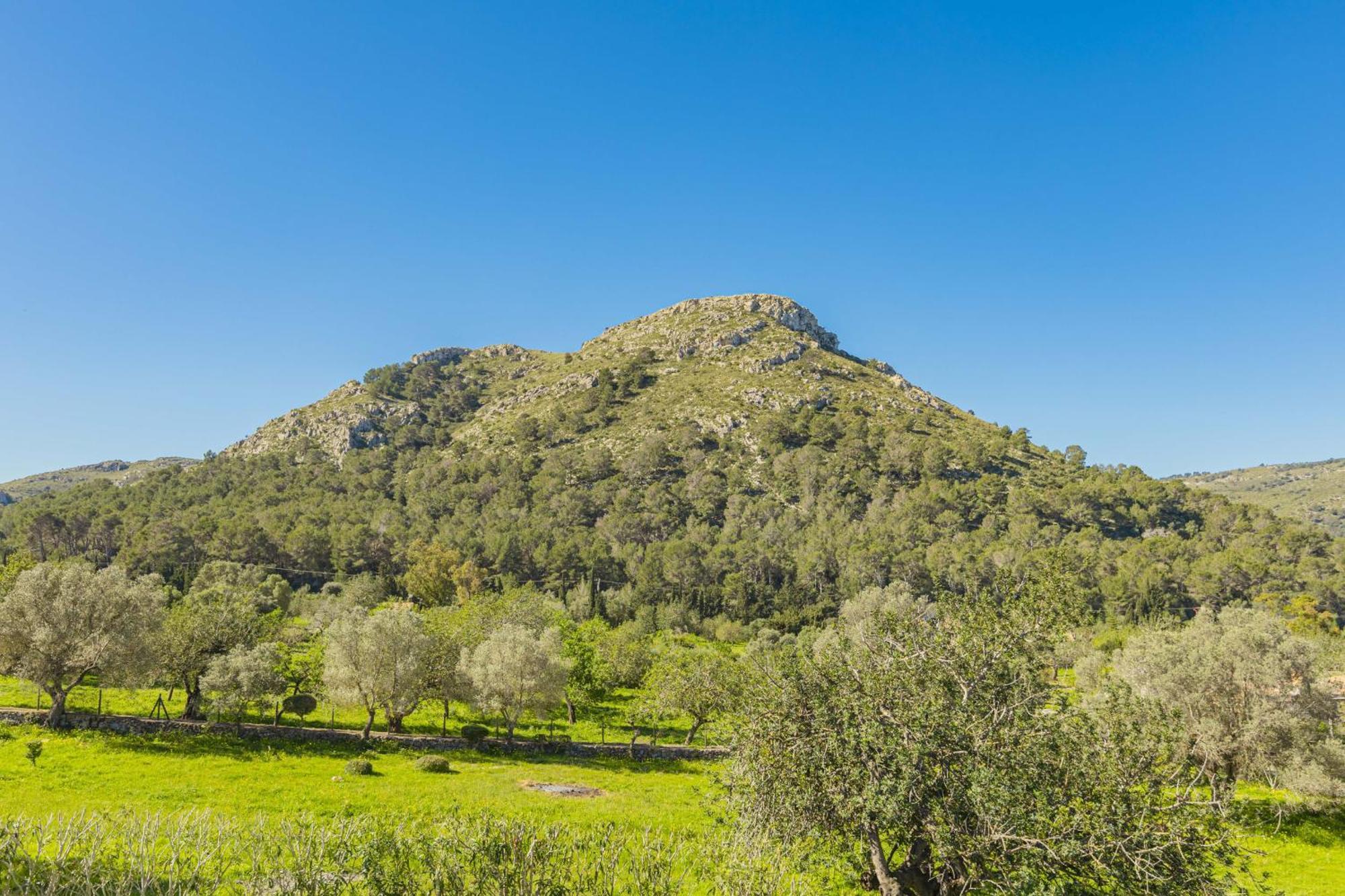 Es Garrover Villa Alcúdia